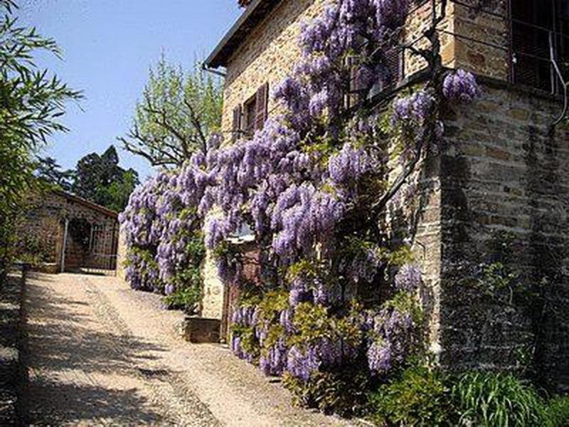 Logis Hôtel et Spa le Savigny Blacé Exterior foto